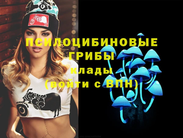 мяу мяу мука Горняк
