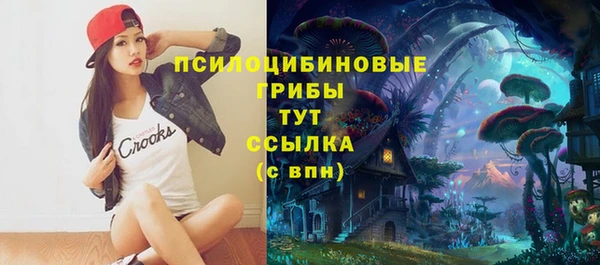 мяу мяу мука Горняк