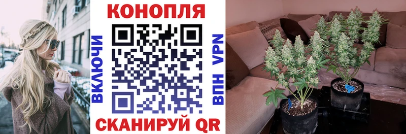 Купить закладки  Советский  Каннабис VHQ 